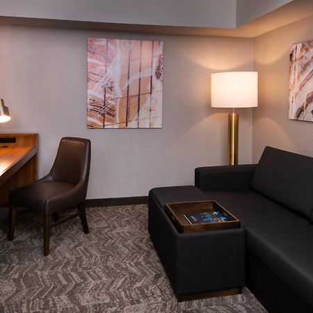 Springhill Suites By Marriott Pittsburgh North Shore Dış mekan fotoğraf