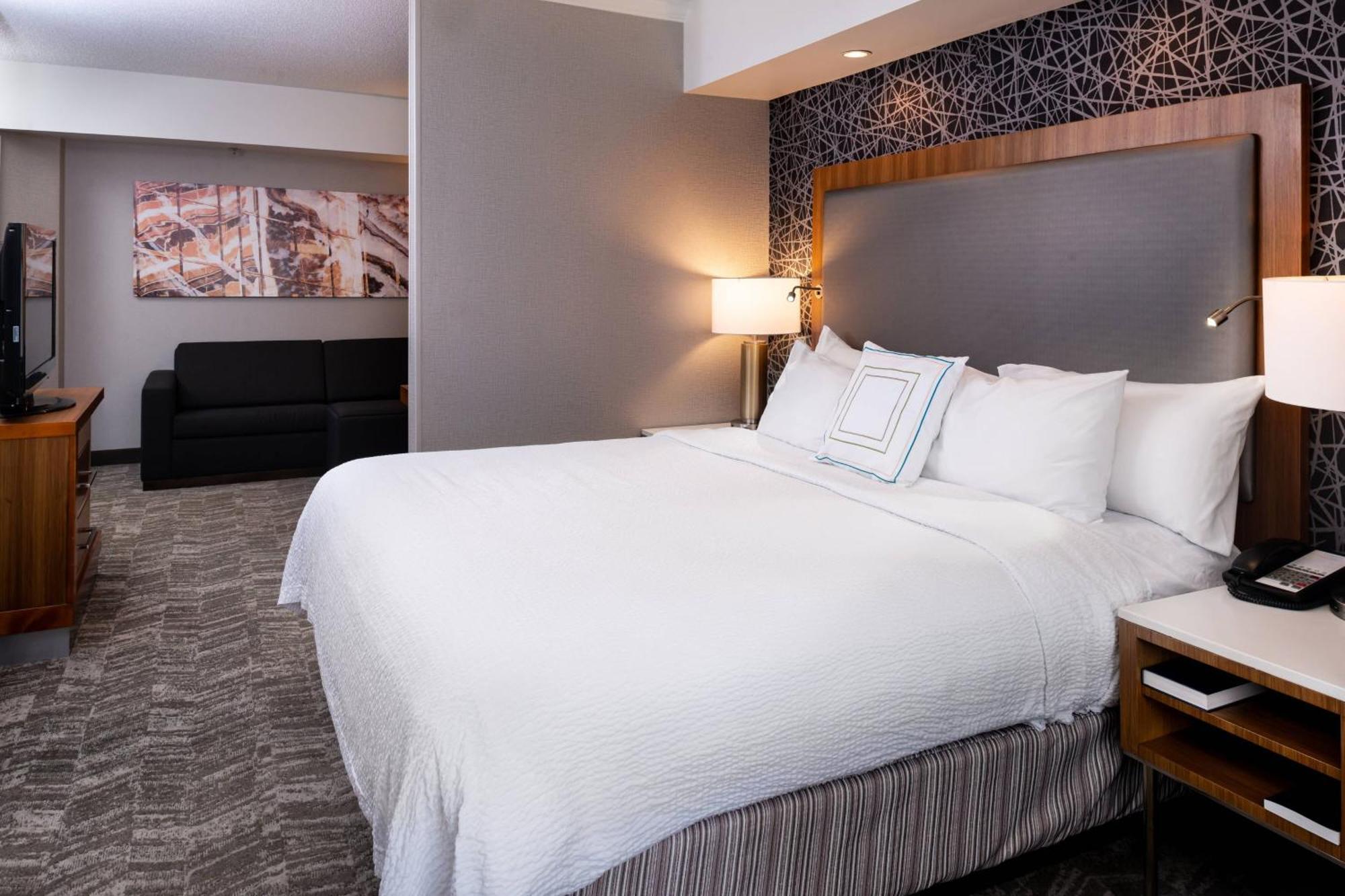 Springhill Suites By Marriott Pittsburgh North Shore Dış mekan fotoğraf