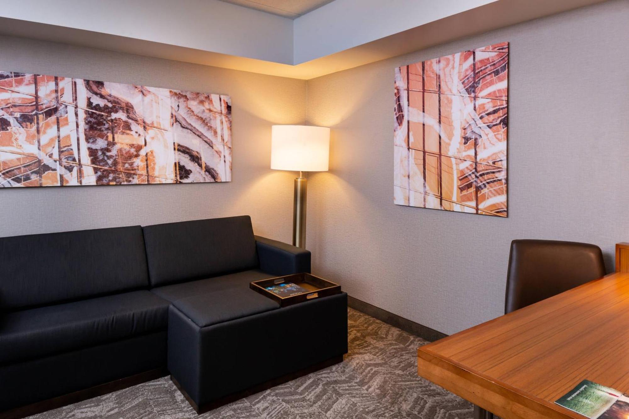 Springhill Suites By Marriott Pittsburgh North Shore Dış mekan fotoğraf